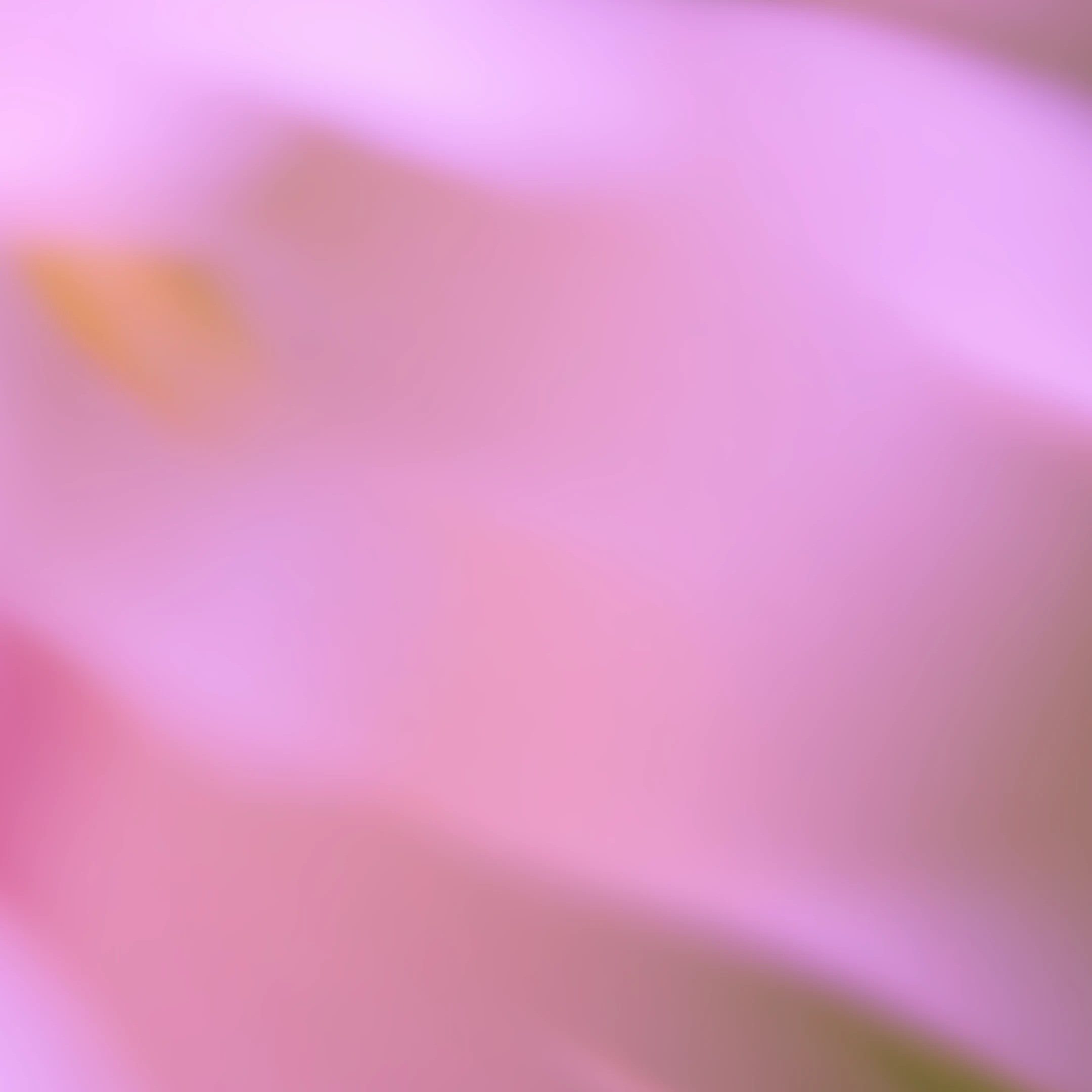 Why Freshness Beats Stale Sites